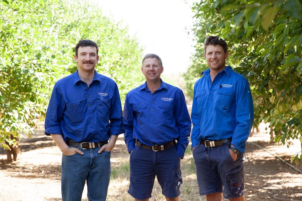 Our Team working on sustainable farming practices at Cavaso